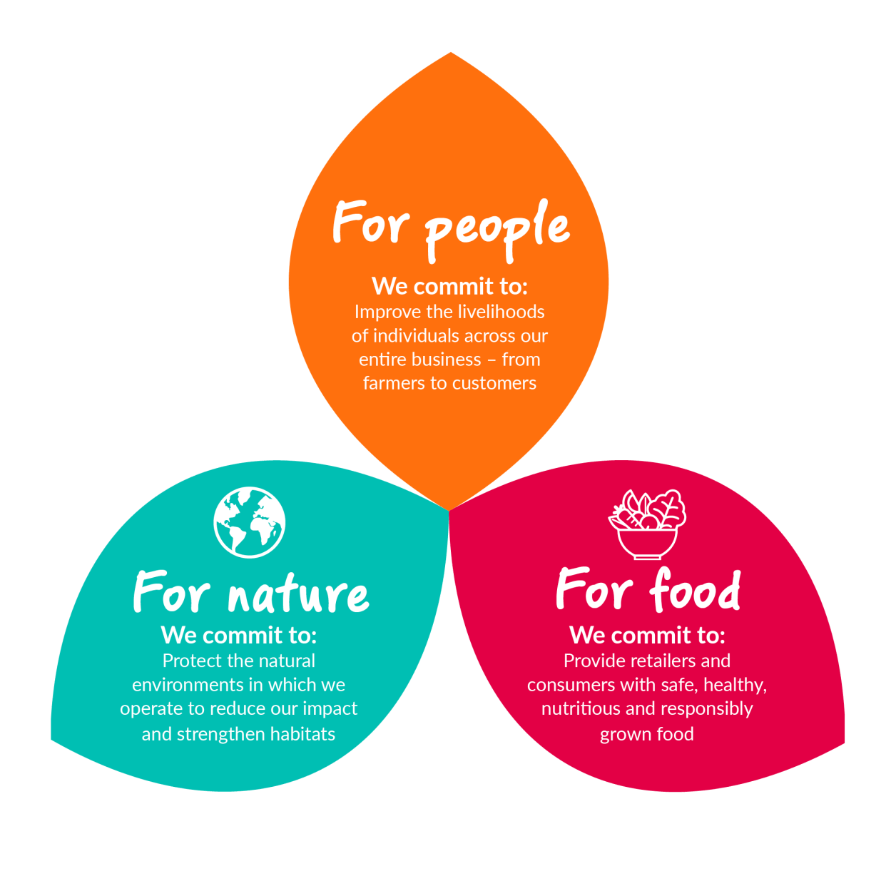 The Dole Way Graphic