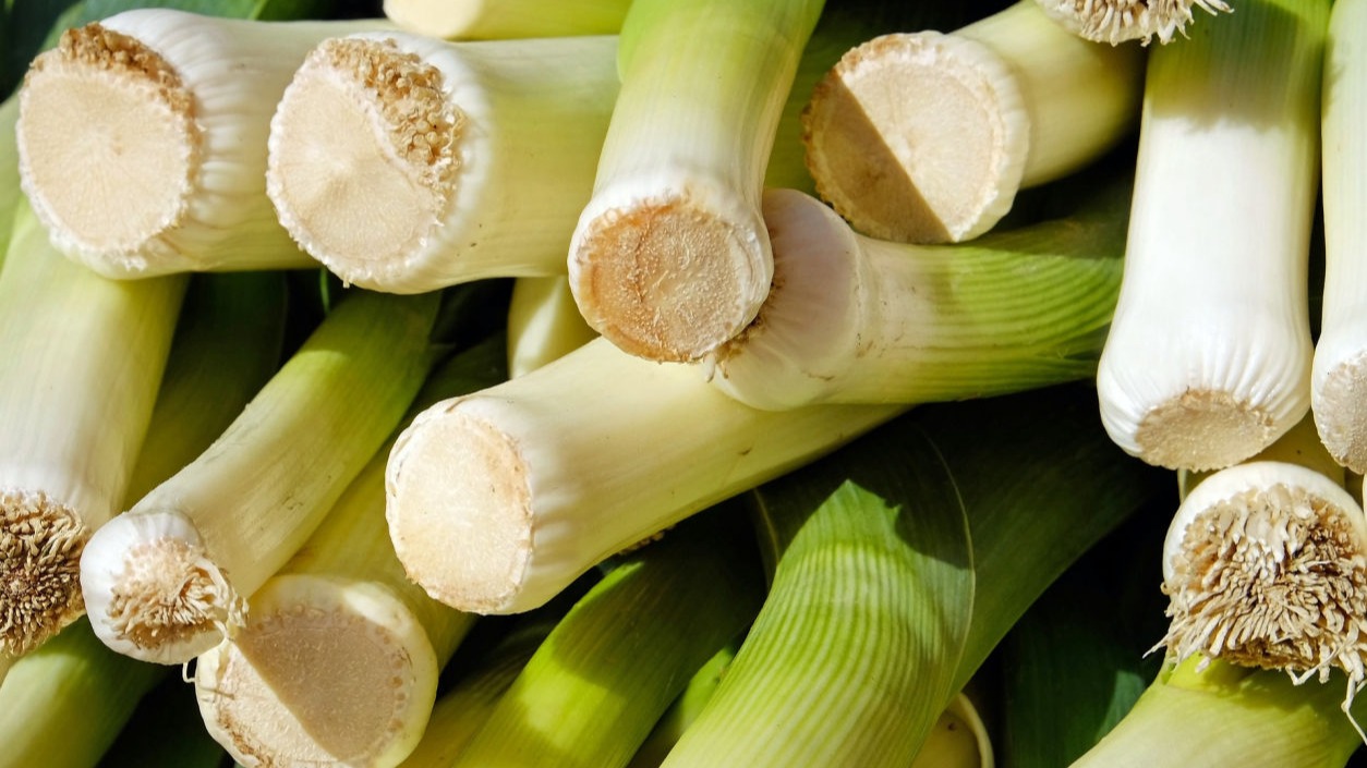 Leek image