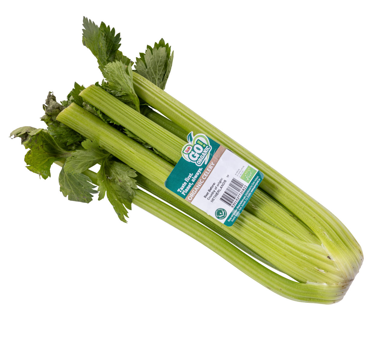 Celery image